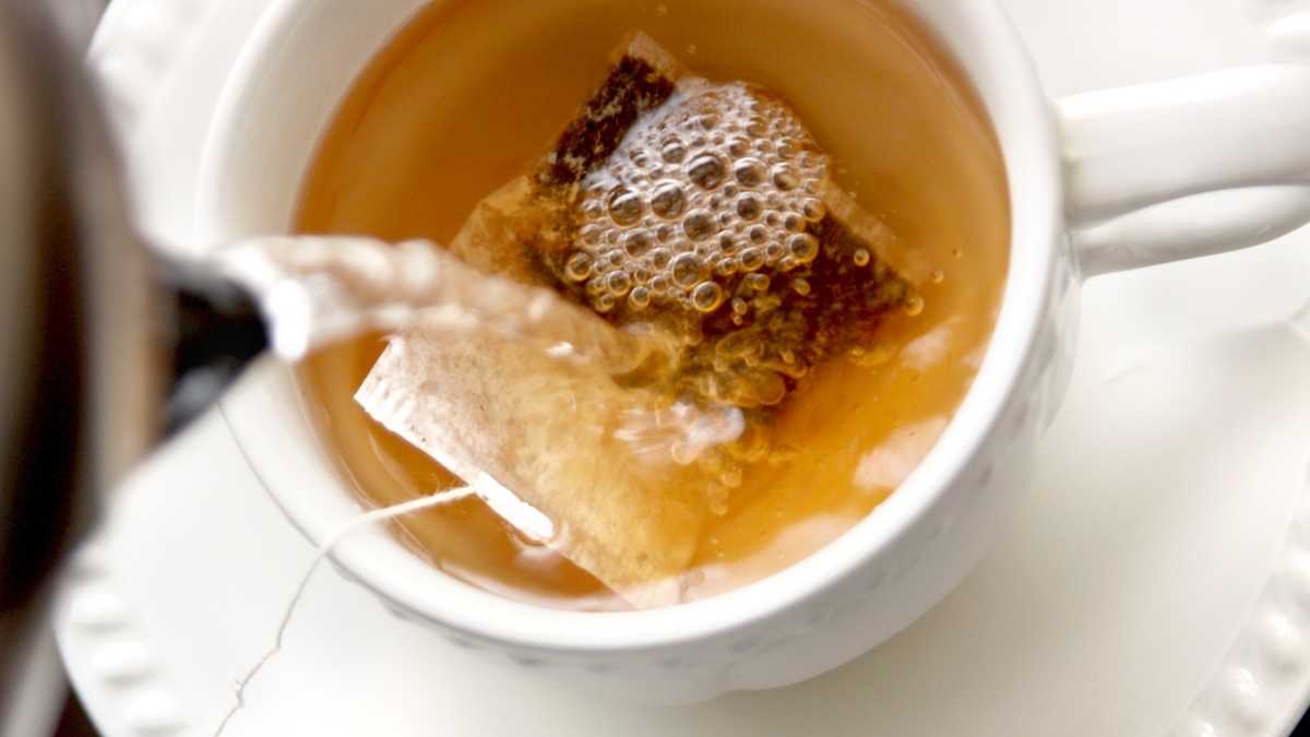 brewing a ceylon tea bag