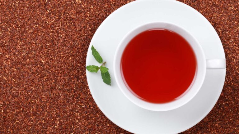 rooibo tea