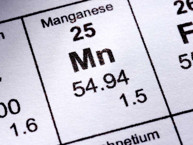 Manganese in ceylon tea
